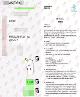 我是如何在全远程面试的情况下,拿到知名德企管培生Offer的?